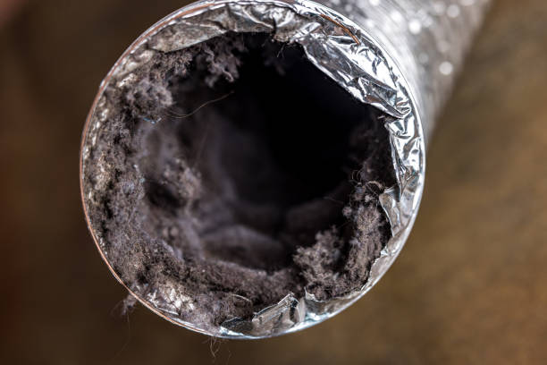 Best HVAC Duct Inspection Services  in Countryside, VA