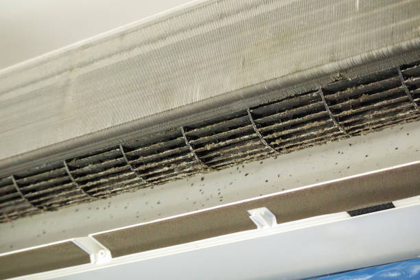 Best Affordable HVAC Duct Cleaning  in Countryside, VA